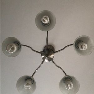 Meet your Posher, Sylvia